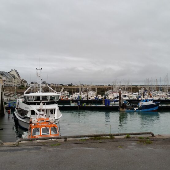 Aménagement Port de la Turballe
