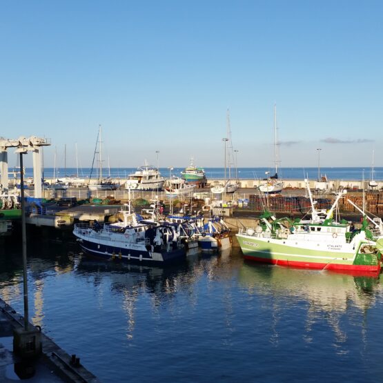 Aménagement Port de la Turballe