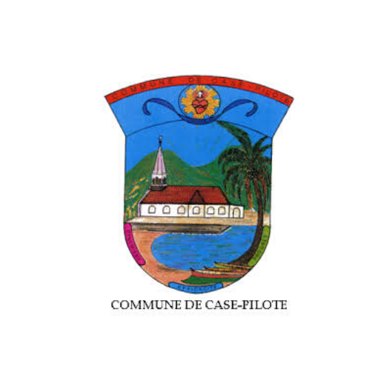 Blason Case Pilote - Port Innovant