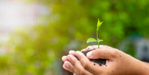 Nos engagements Environnementaux