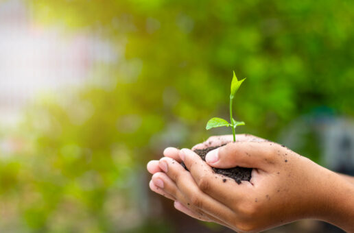 Nos engagements Environnementaux