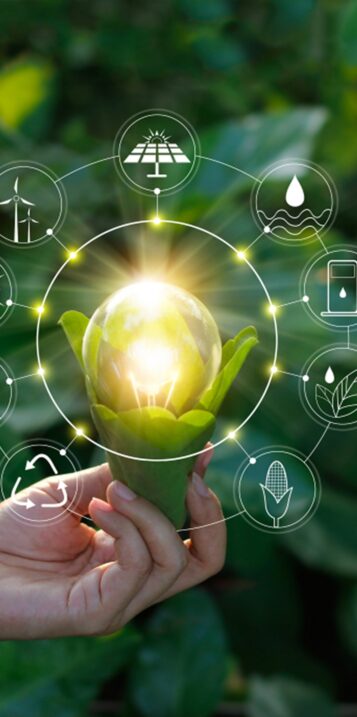 Accompagnement et Évaluation environnementale