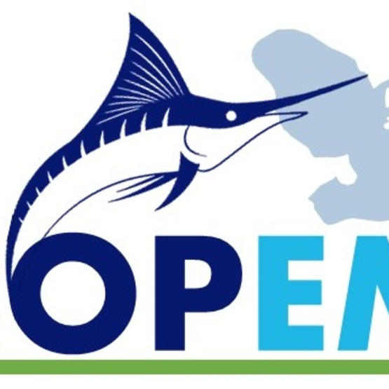 Logo COPEM - Mission modernisation flotille martinique - Odyssée Développement