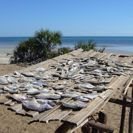 Projet Odyssée Développement - Pecherie Madagascar