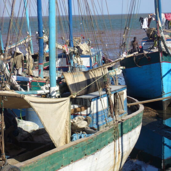 Projet Odyssée Développement - Pecherie Madagascar 2