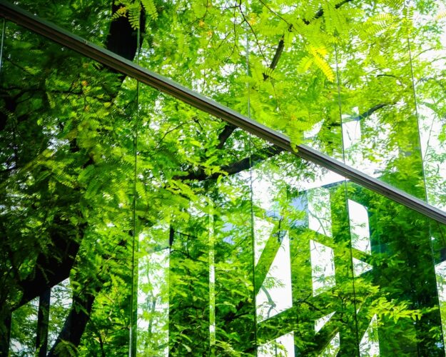 Expert Conseil Environnementale et transition écologique
