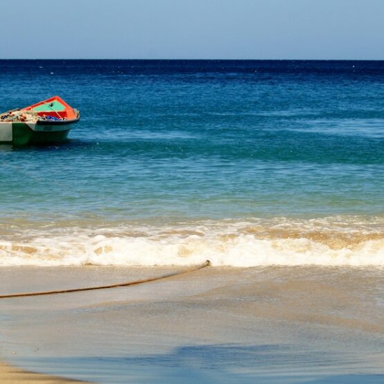 MODERNISATION DE LA FLOTTILLE ARTISANALE MARTINIQUE